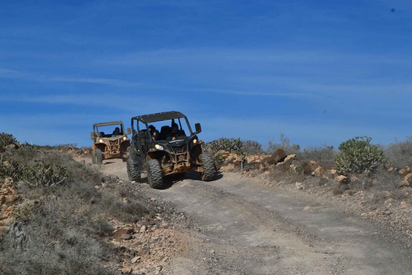 Picture 17 for Activity Lanzarote: Mix tour Guided Buggy Volcano Tour 4 seater