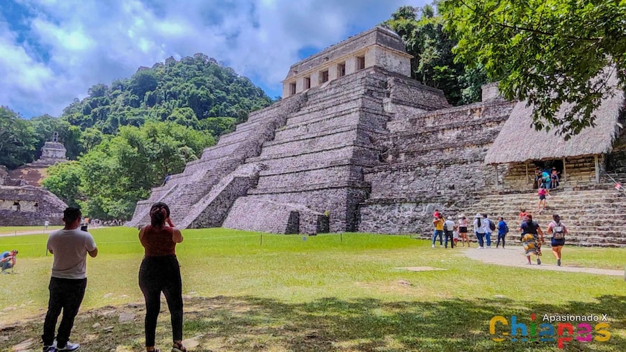 Tuxtla Gutierrez: Agua Azul, Misol Ha & Palenque Experience