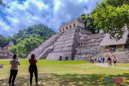 Tuxtla Gutierrez : Agua Azul, Misol Ha et Palenque Expérience