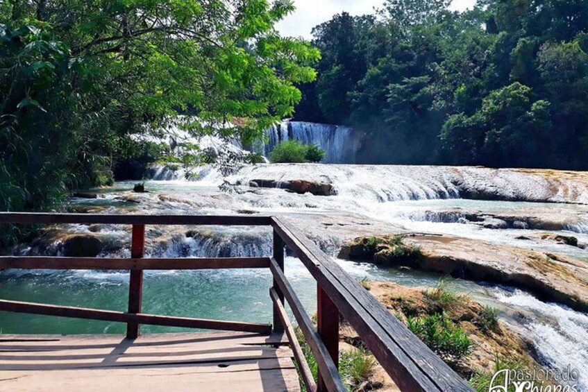 Picture 4 for Activity Tuxtla Gutierrez: Agua Azul, Misol Ha & Palenque Experience