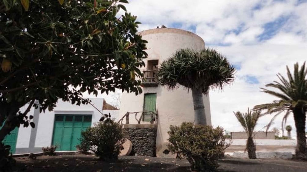 Picture 1 for Activity Lanzarote: Visit a traditional mill and taste our gofio.