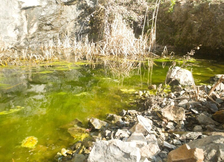 Picture 6 for Activity Lievàntu Wine Experience: Tour & tasting in Levanto Valley