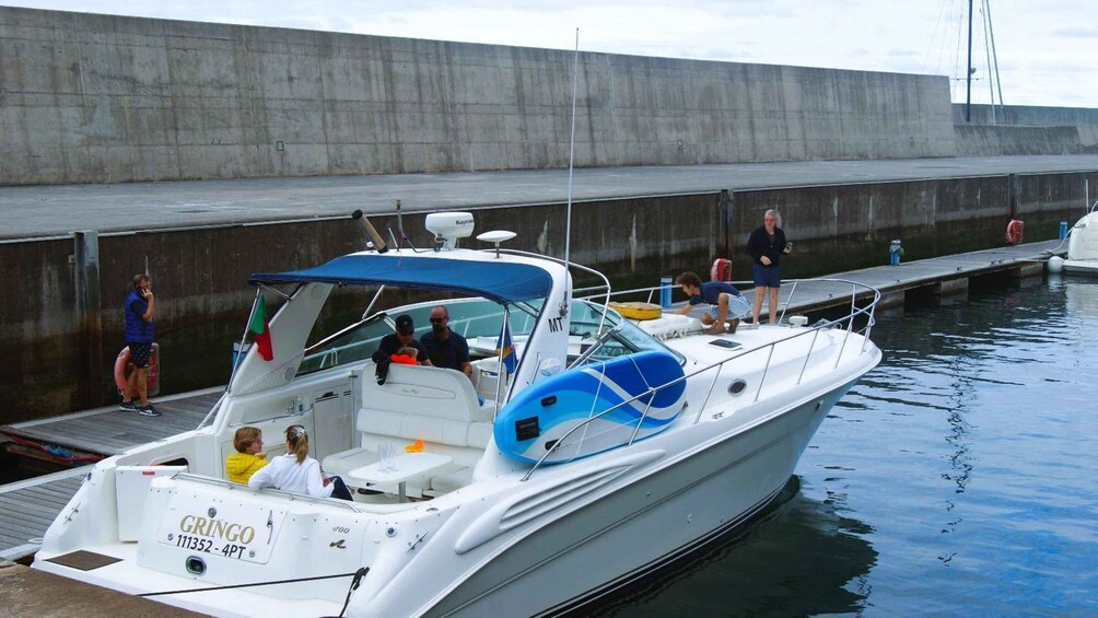 Picture 5 for Activity Madeira: Yacht Tours - Wildlife & Bays, Sunset, Desert Isles