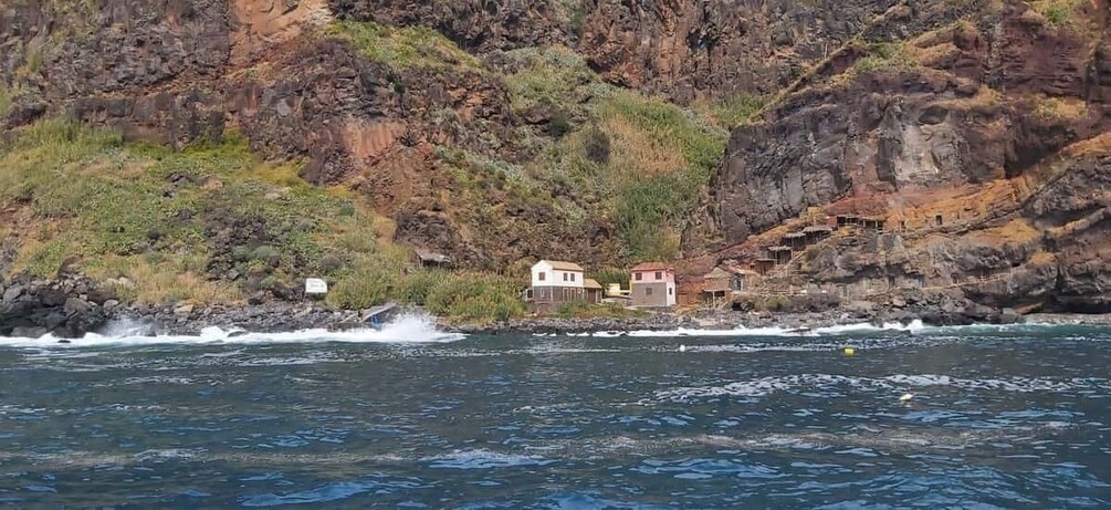 Picture 1 for Activity Madeira: Yacht Tours - Wildlife & Bays, Sunset, Desert Isles