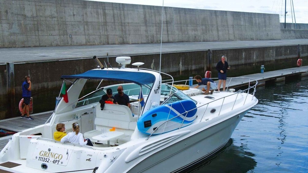 Picture 5 for Activity Madeira: Yacht Tours - Wildlife & Bays, Sunset, Desert Isles