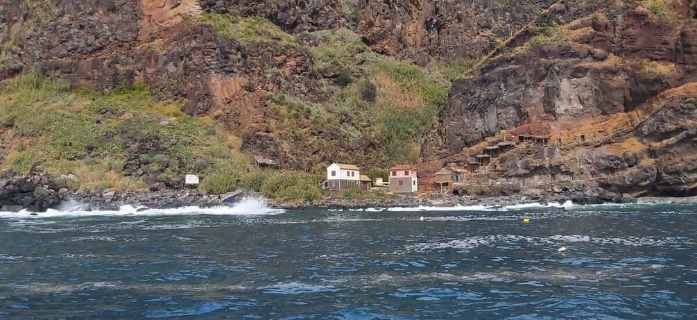 Picture 1 for Activity Madeira: Yacht Tours - Wildlife & Bays, Sunset, Desert Isles