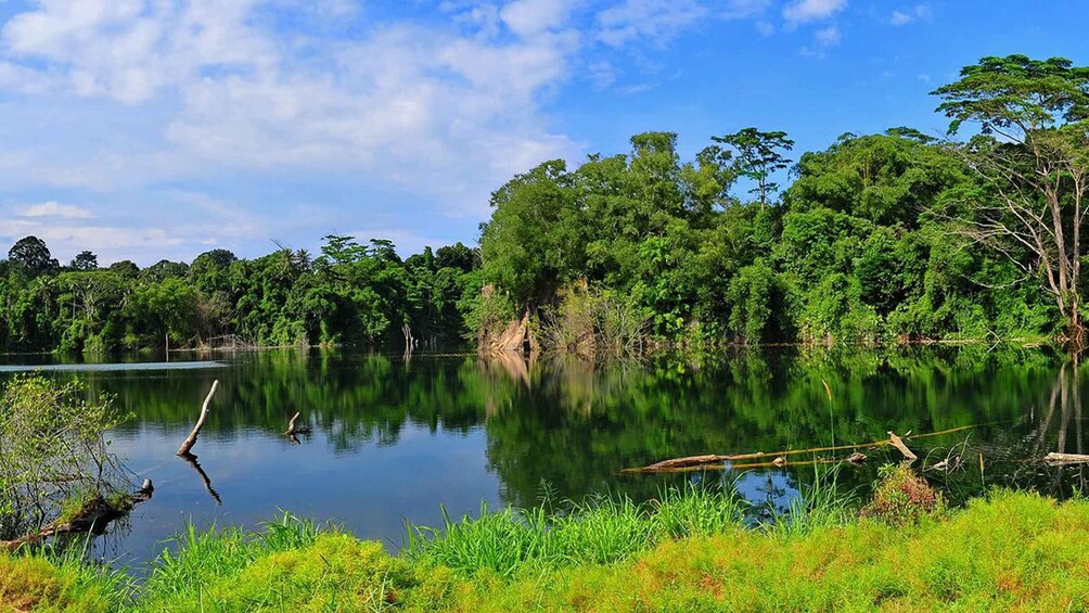 Picture 3 for Activity From Iquitos: 4 days/3 nights in Amazonian lodge with meals