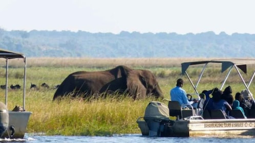 3 jours excursion Zimbabwe, Zambie&Botswana- Game Drive, Vic Falls