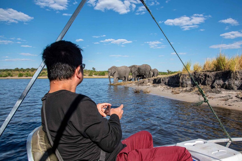 Picture 9 for Activity From Livingstone & Victoria Falls: Rafting & Safari Combo