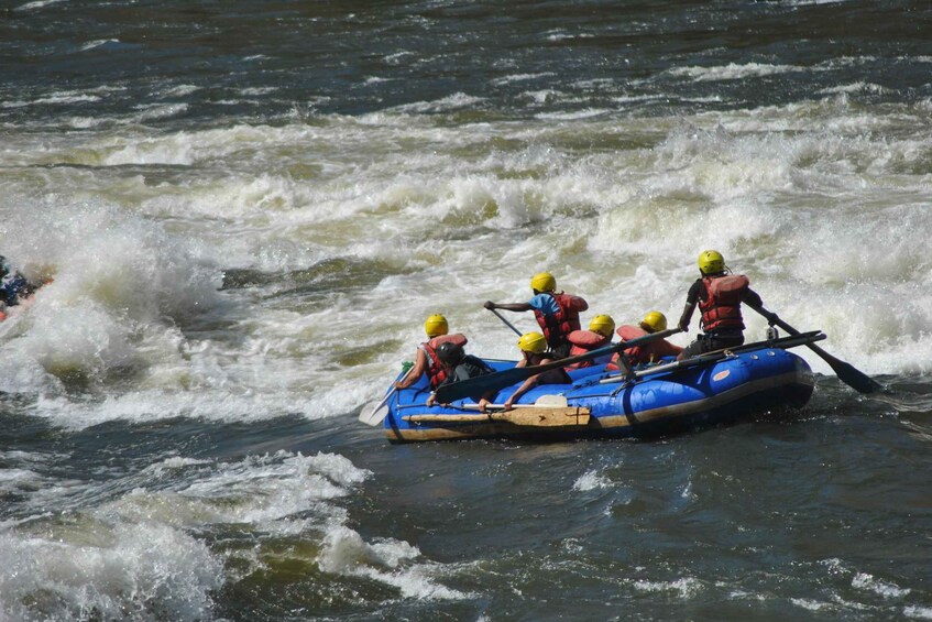 Picture 4 for Activity From Livingstone & Victoria Falls: Rafting & Safari Combo