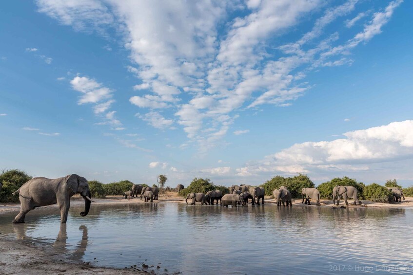 Picture 6 for Activity From Livingstone & Victoria Falls: Rafting & Safari Combo