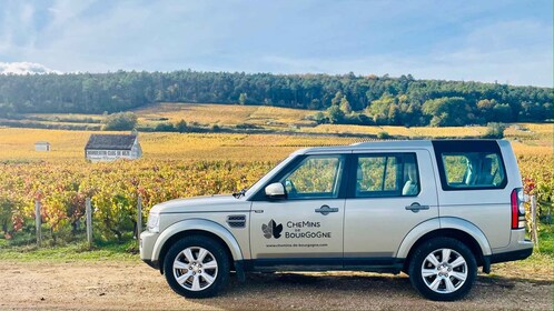 Small group full day tour in the Burgundy vineyards