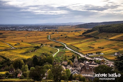 Small group full day tour in the Burgundy vineyards