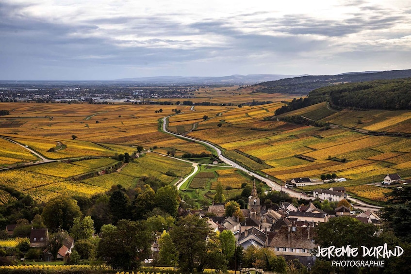 Small group full day tour in the Burgundy vineyards