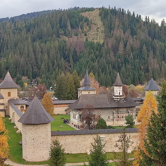 Picture 4 for Activity Private 5 days tour of Bucovina and Maramureș