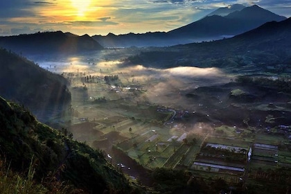 Bali: Beste Orte bei Sonnenaufgang und private Tour durch den Affenwald von...