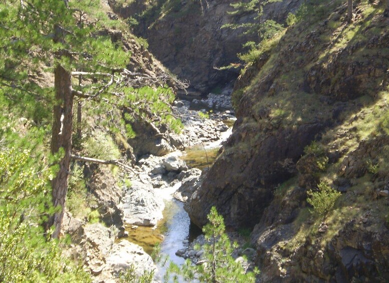 Picture 2 for Activity Vikos Gorge Full-Day Guided Hike