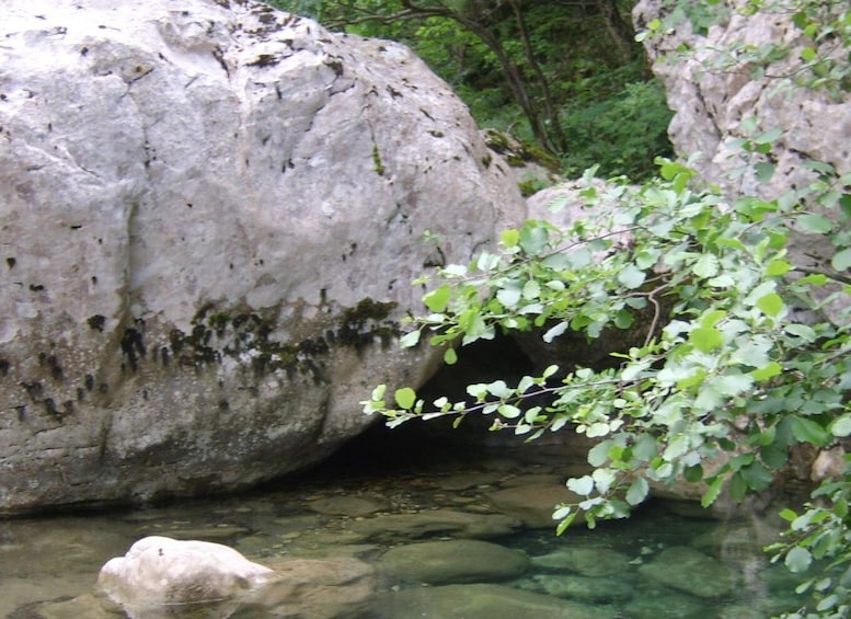 Picture 4 for Activity Vikos Gorge Full-Day Guided Hike