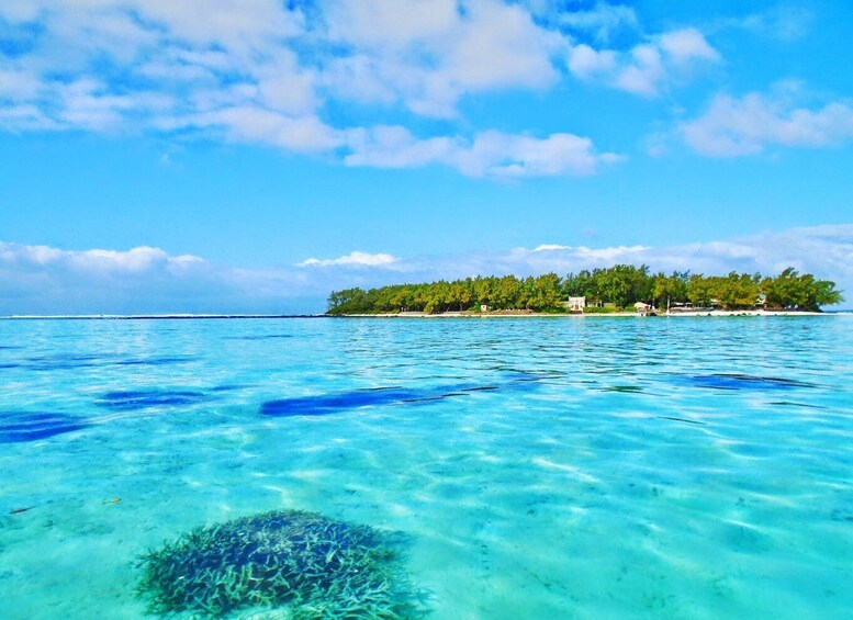 Picture 2 for Activity Mauritius: Ile aux Aigrettes Nature Reserve with Boat Ride