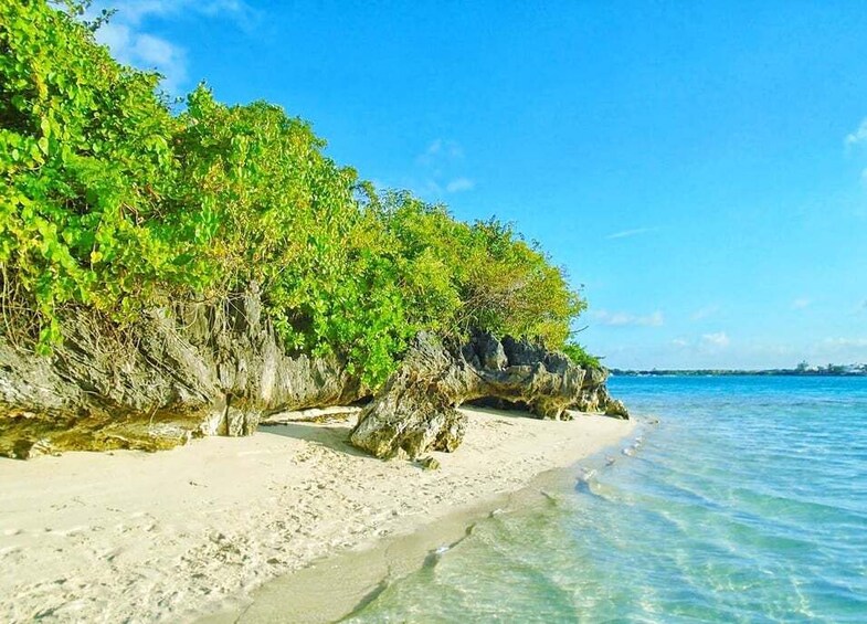 Picture 1 for Activity Mauritius: Ile aux Aigrettes Nature Reserve with Boat Ride