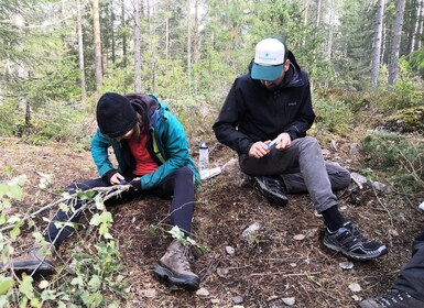 Survival- und Bushcraft-Kurs in der Wildnis in Stockholm