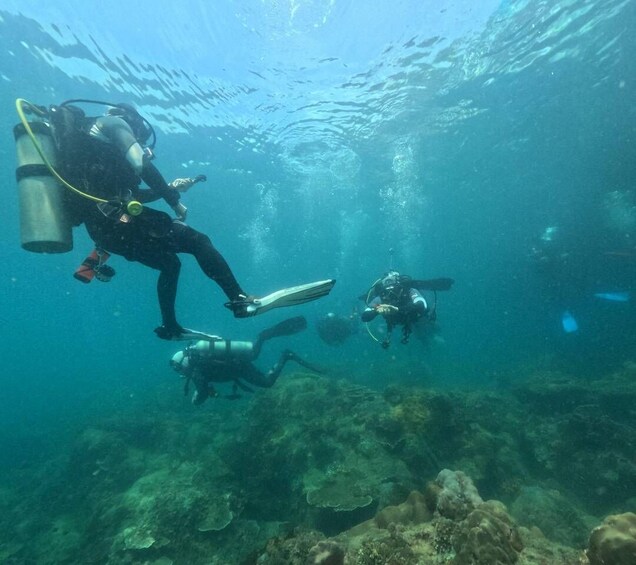 Picture 3 for Activity Phu Quoc: Scuba Diving Tour, one day in ocean Phu Quoc