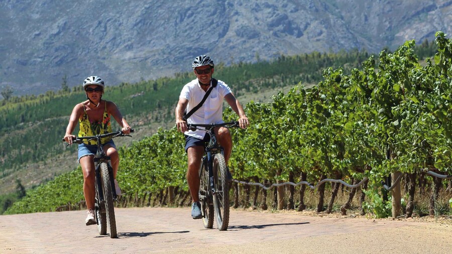 Stellenbosch: Wine Farm E-Bike Guided Tour