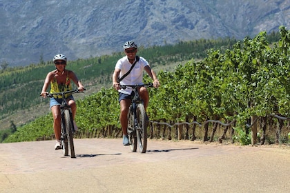 Stellenbosch: Wine Farm E-Bike Guided Tour