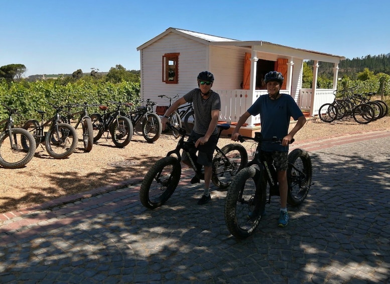 Picture 3 for Activity Stellenbosch: Wine Farm E-Bike Guided Tour