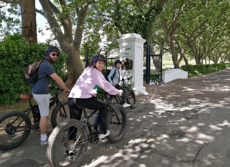 Picture 1 for Activity Stellenbosch: Wine Farm E-Bike Guided Tour