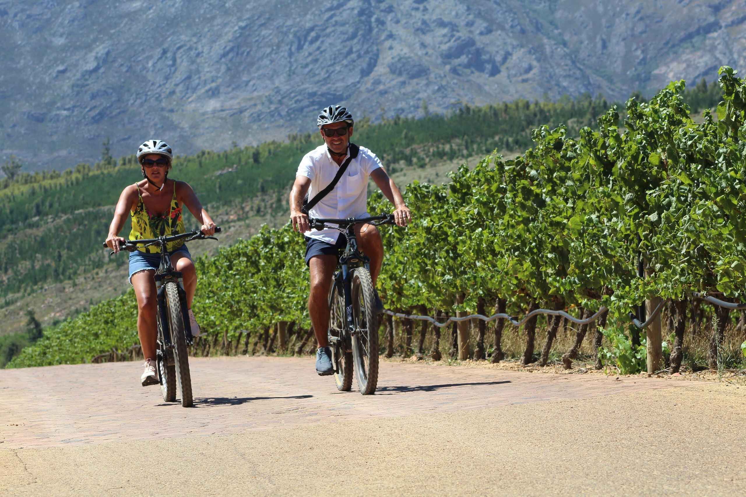 Stellenbosch: Wine Farm E-Bike Guided Tour