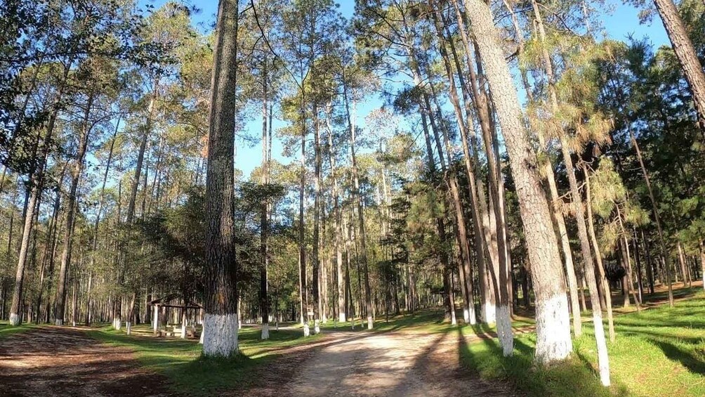 Picture 3 for Activity San Cristobal: Rancho Nuevo Caves and Arcotete Tour