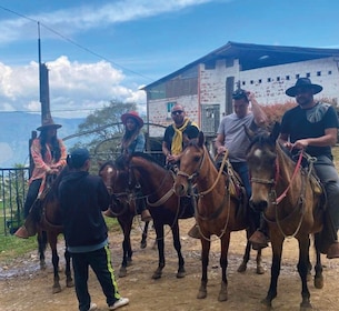 Medellin: 2-Day Coffee Farm Trip w/Horse Ride & Forest Cabin