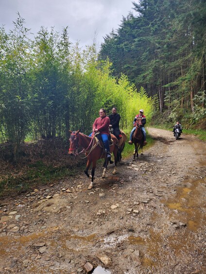 Picture 2 for Activity Medellin: 2-Day Coffee Farm Trip w/Horse Ride & Forest Cabin