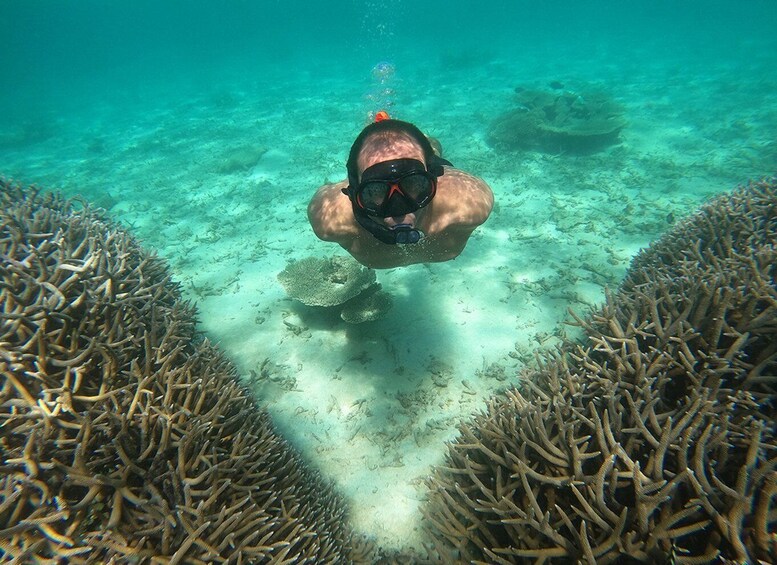 Picture 1 for Activity From Blue Bay: Ile aux Cerfs Speedboat Excursion with BBQ