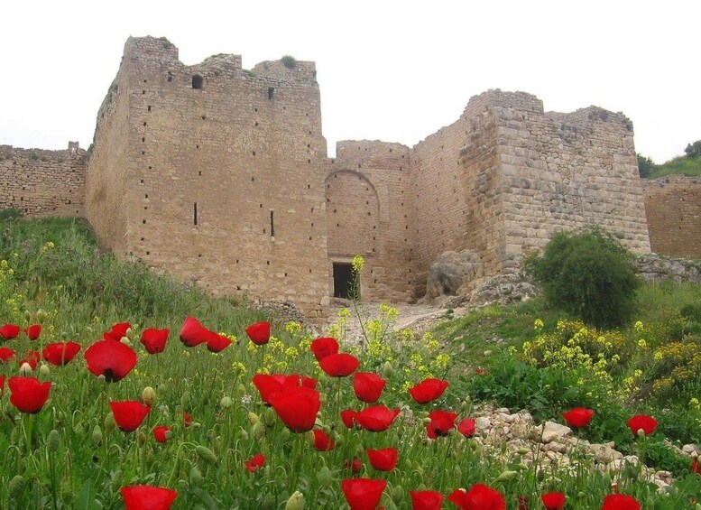 Picture 13 for Activity Ancient Corinth Saint Paul step & thermal spa, private tour