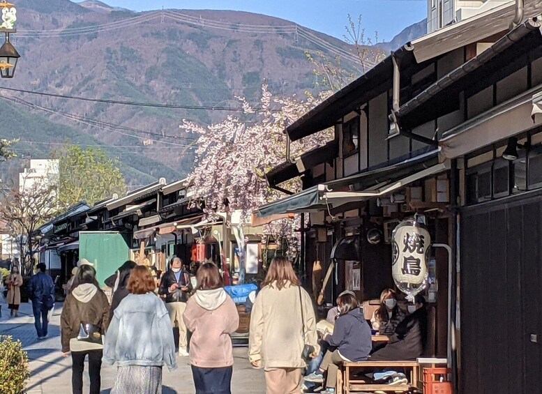 Picture 4 for Activity Matsumoto Castle Town Walking Tour