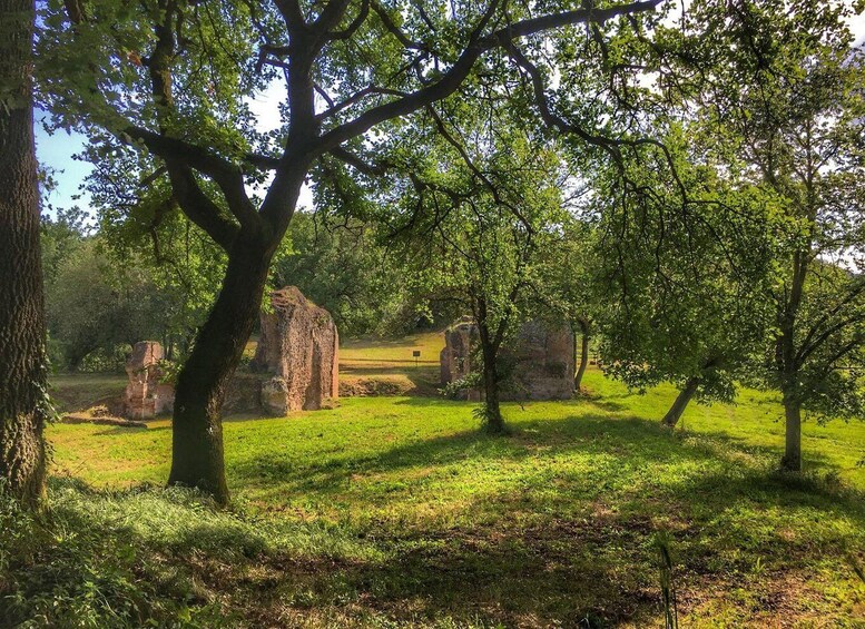 Picture 4 for Activity Ocriculum: entrance to the Umbrian archaeological park