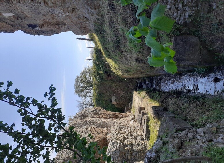 Picture 2 for Activity Ocriculum: entrance to the Umbrian archaeological park