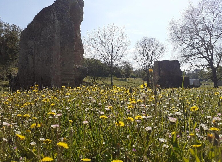 Picture 1 for Activity Ocriculum: entrance to the Umbrian archaeological park