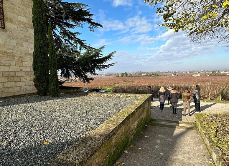 Picture 3 for Activity Bordeaux: Saint-Émilion wine tour in a small group