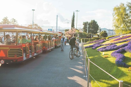 Genève: City Pass med 60 aktiviteter