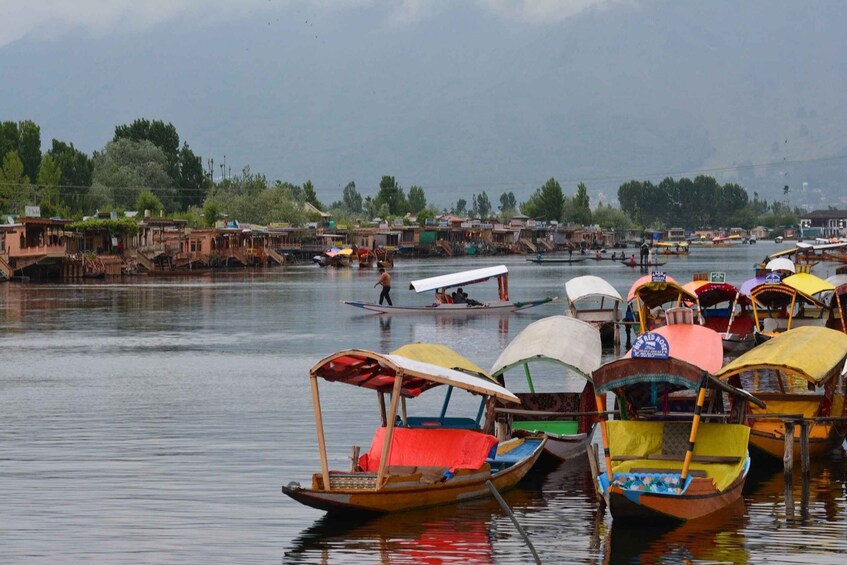 Picture 7 for Activity Magical Kashmir Tour