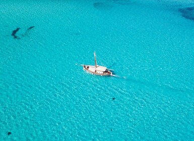 From Stintino: Asinara Vintage Sailing Boat Tour with Lunch