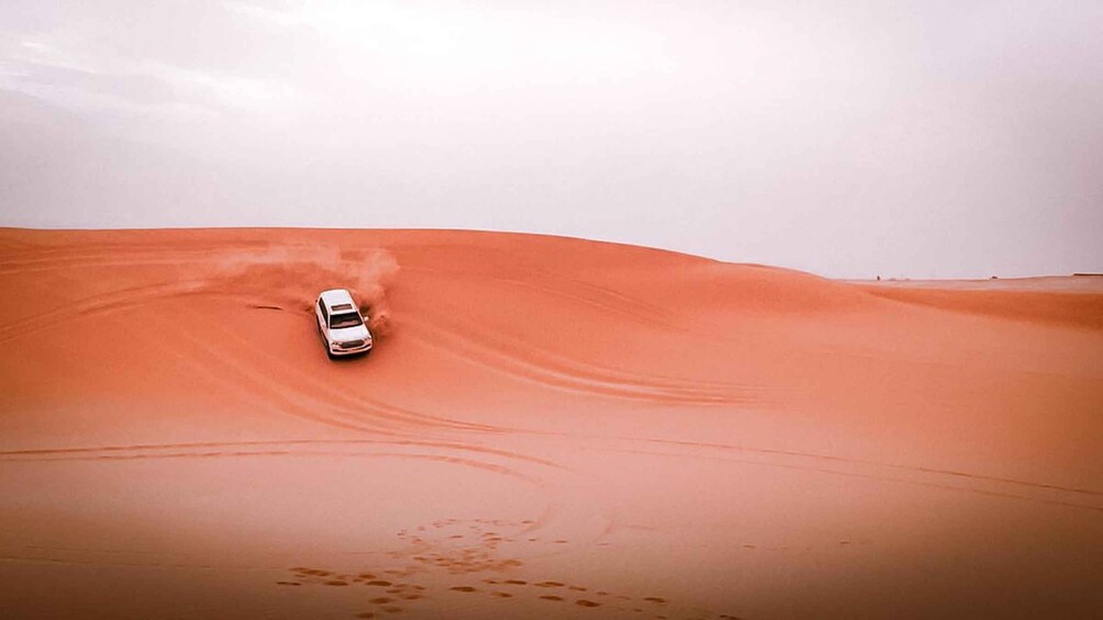 Picture 2 for Activity Abu Dhabi: Morning Dune Drive, Camel Ride & Sandboarding