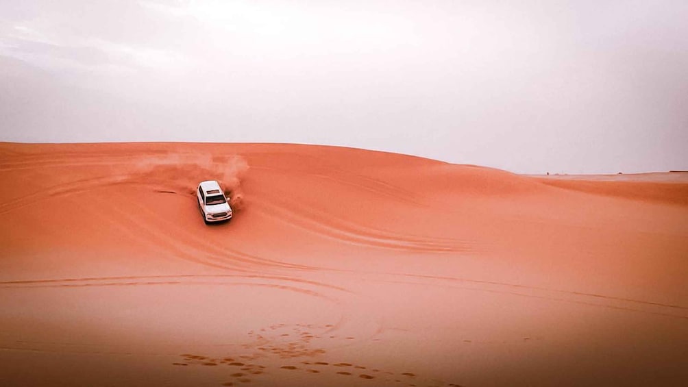 Picture 2 for Activity Abu Dhabi: Morning Dune Drive, Camel Ride & Sandboarding