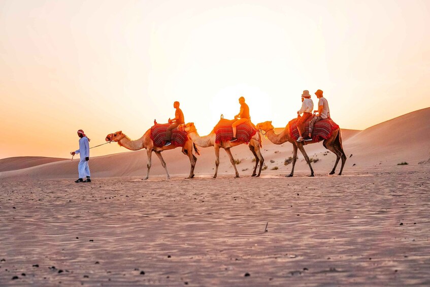 Picture 3 for Activity Abu Dhabi: Morning Dune Drive, Camel Ride & Sandboarding