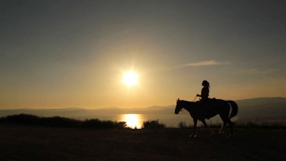 Picture 11 for Activity Agadir: Camel Ride With Tea & BBQ Dinner Option