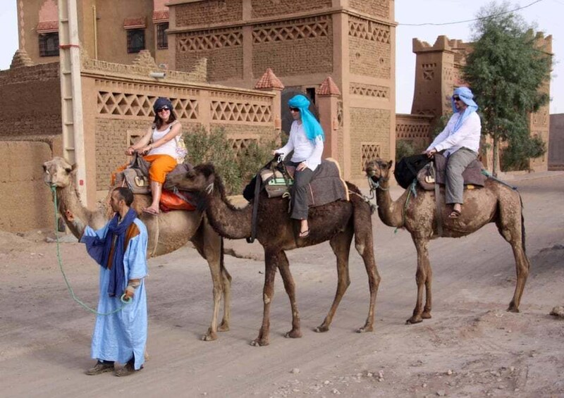 Picture 2 for Activity Agadir: Camel Ride With Tea & BBQ Dinner Option