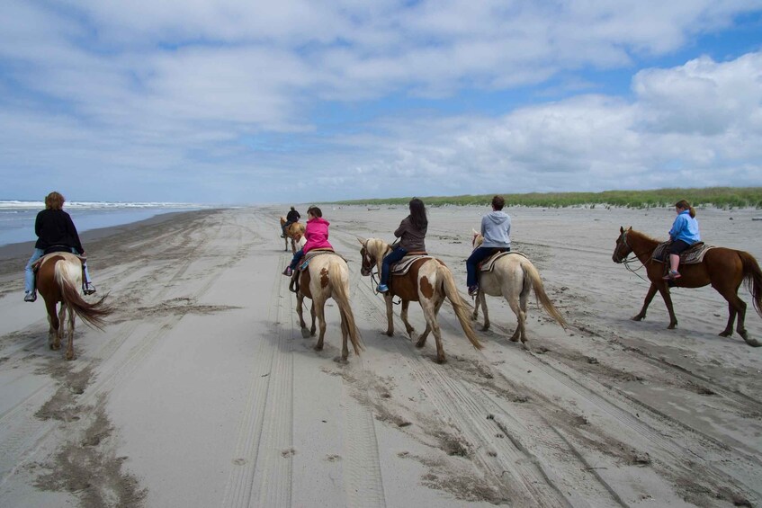 Picture 15 for Activity Agadir: Camel Ride With Tea & BBQ Dinner Option